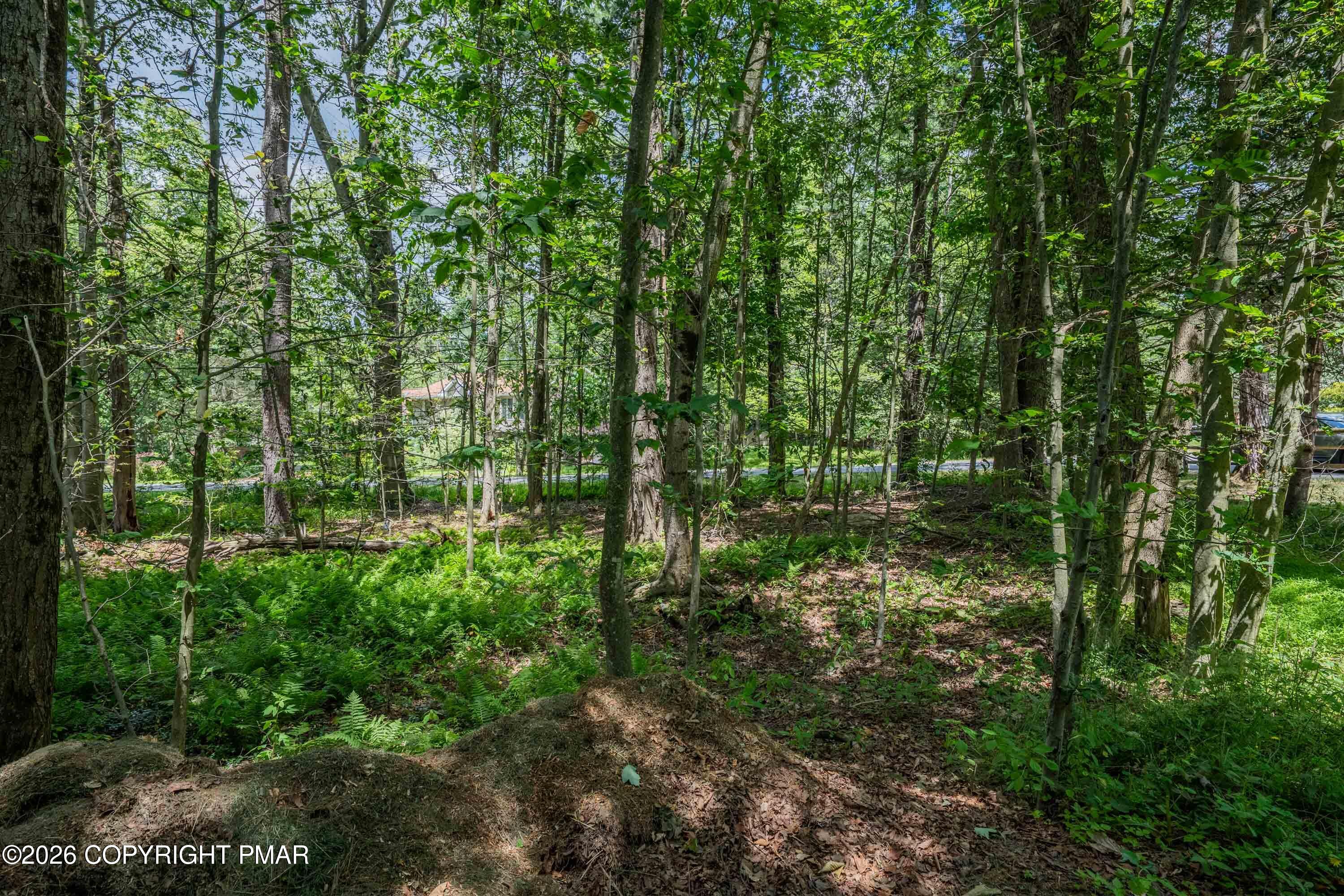 5226 Beechwood Road Pocono Lake, PA 18347 - Photo 63 of 65 5226 Beechwood-53