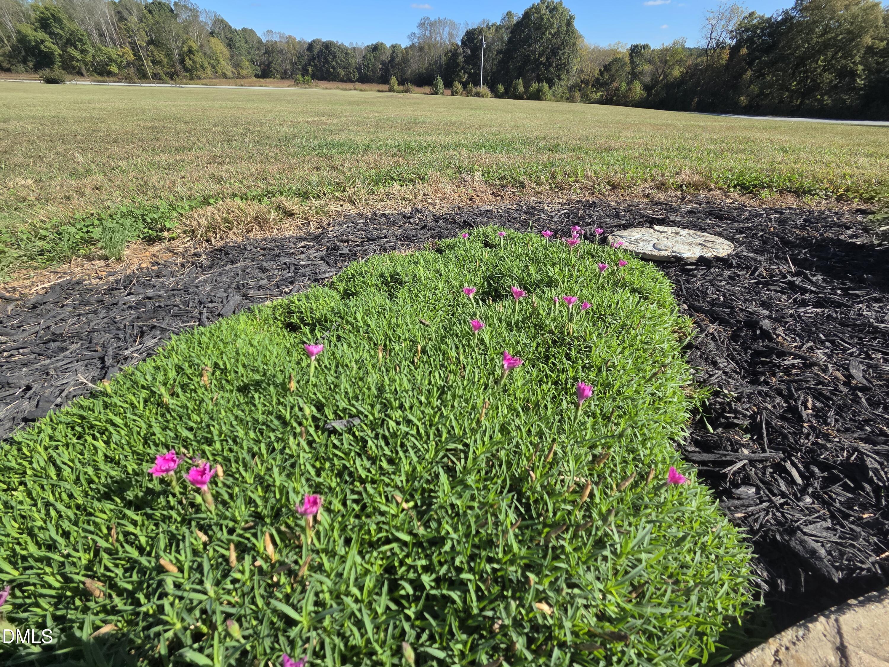 8095 Crawford Currin Road Oxford, NC 27565 - Photo 38 of 47 20251015_105623