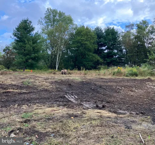 a view of dirt yard with a trees