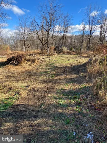 a view of outdoor space and yard