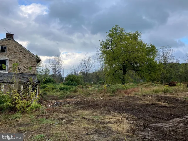 a view of a big yard