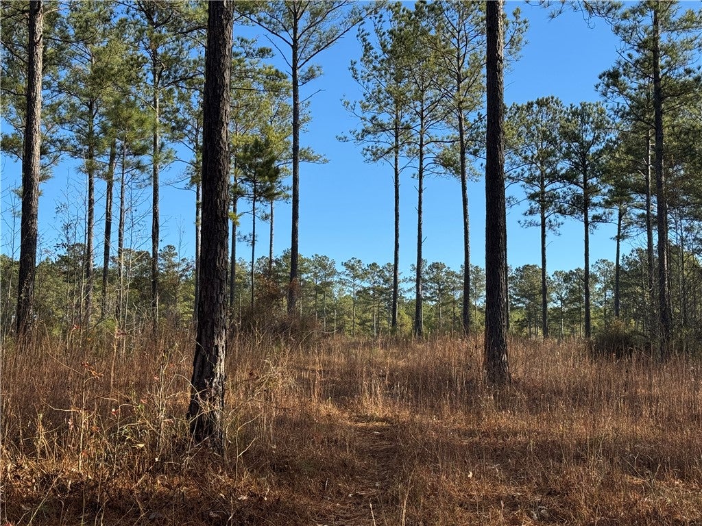 0 Farmville Road Camp Hill, AL 36850 - Photo 22 of 35 Gallery Image 22