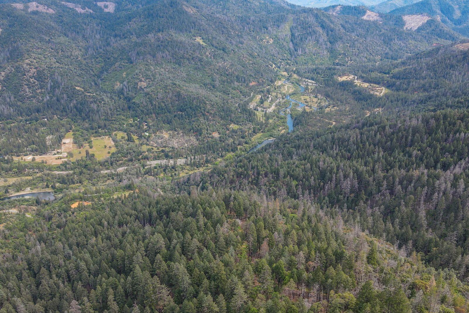 710 Dutch Creek Road Junction City, CA 96048 - Photo 25 of 38