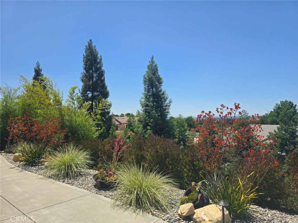 1613 Via Flora Paso Robles, CA 93446 - Photo 41 of 44