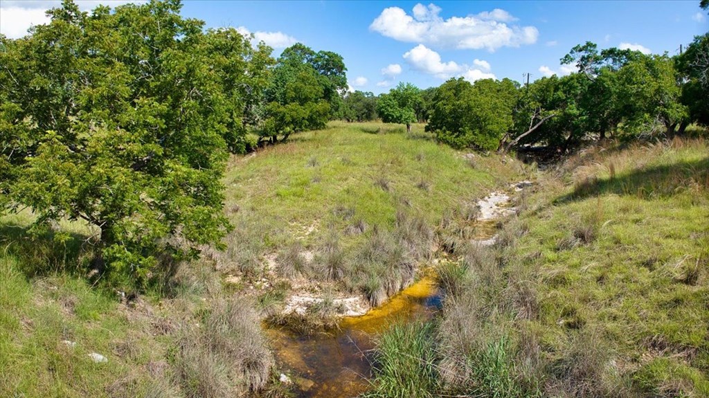 1411 Grape Creek Road Fredericksburg, TX 78624 - Photo 28 of 44