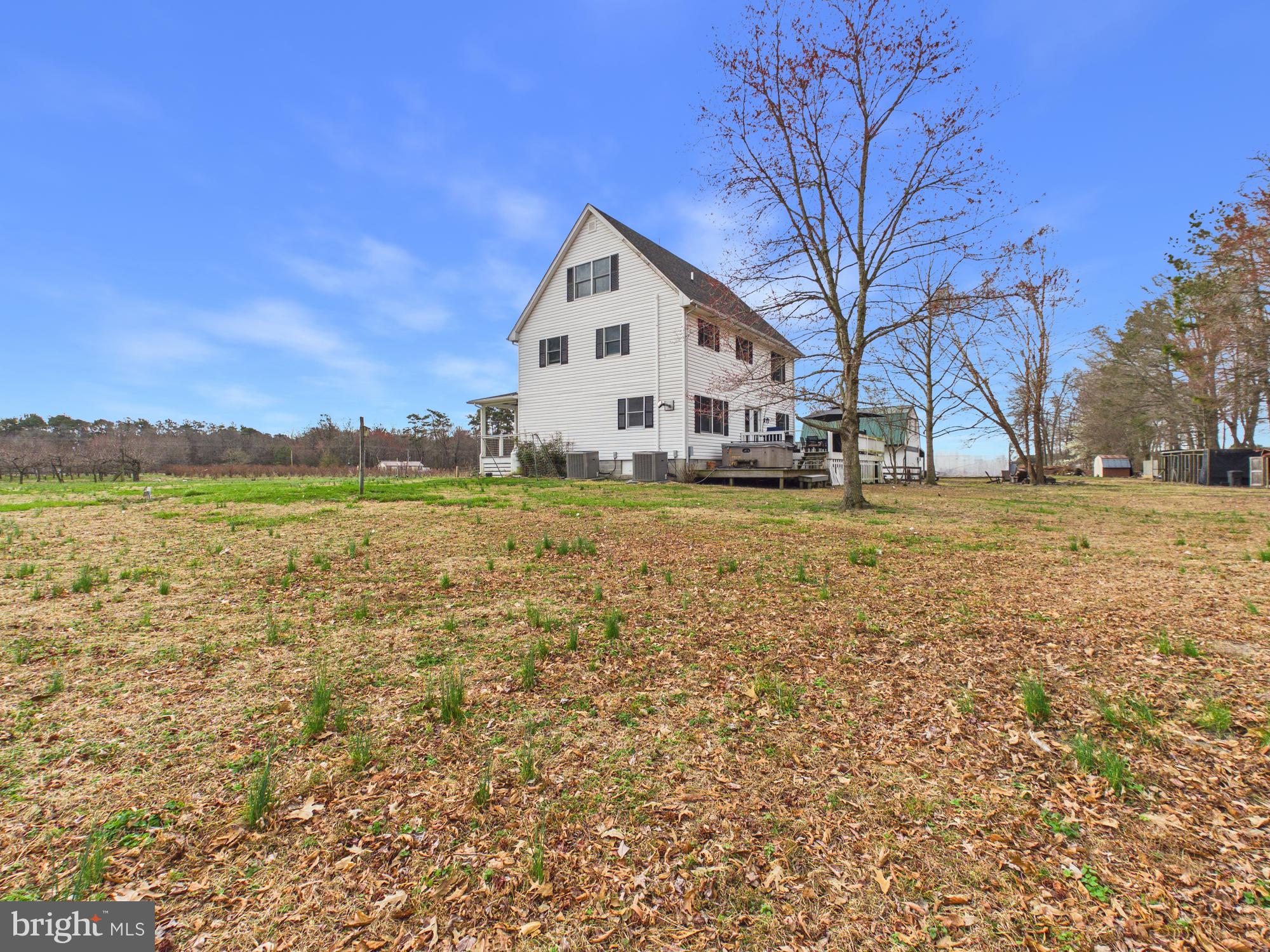 8416 Harmony Road Denton, MD 21629 - Photo 107 of 111 Spacious backyard