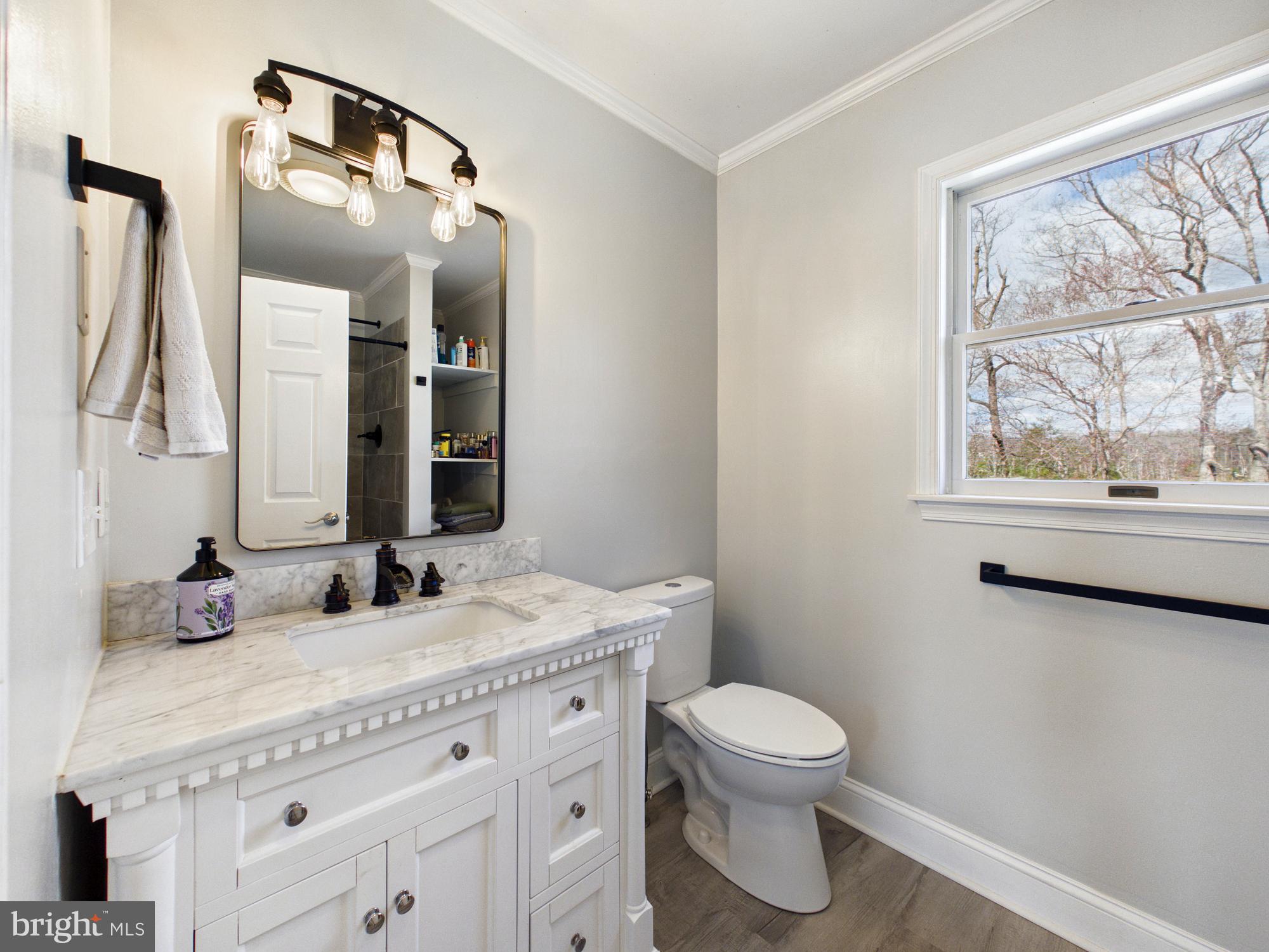 8416 Harmony Road Denton, MD 21629 - Photo 26 of 111 Primary bathroom