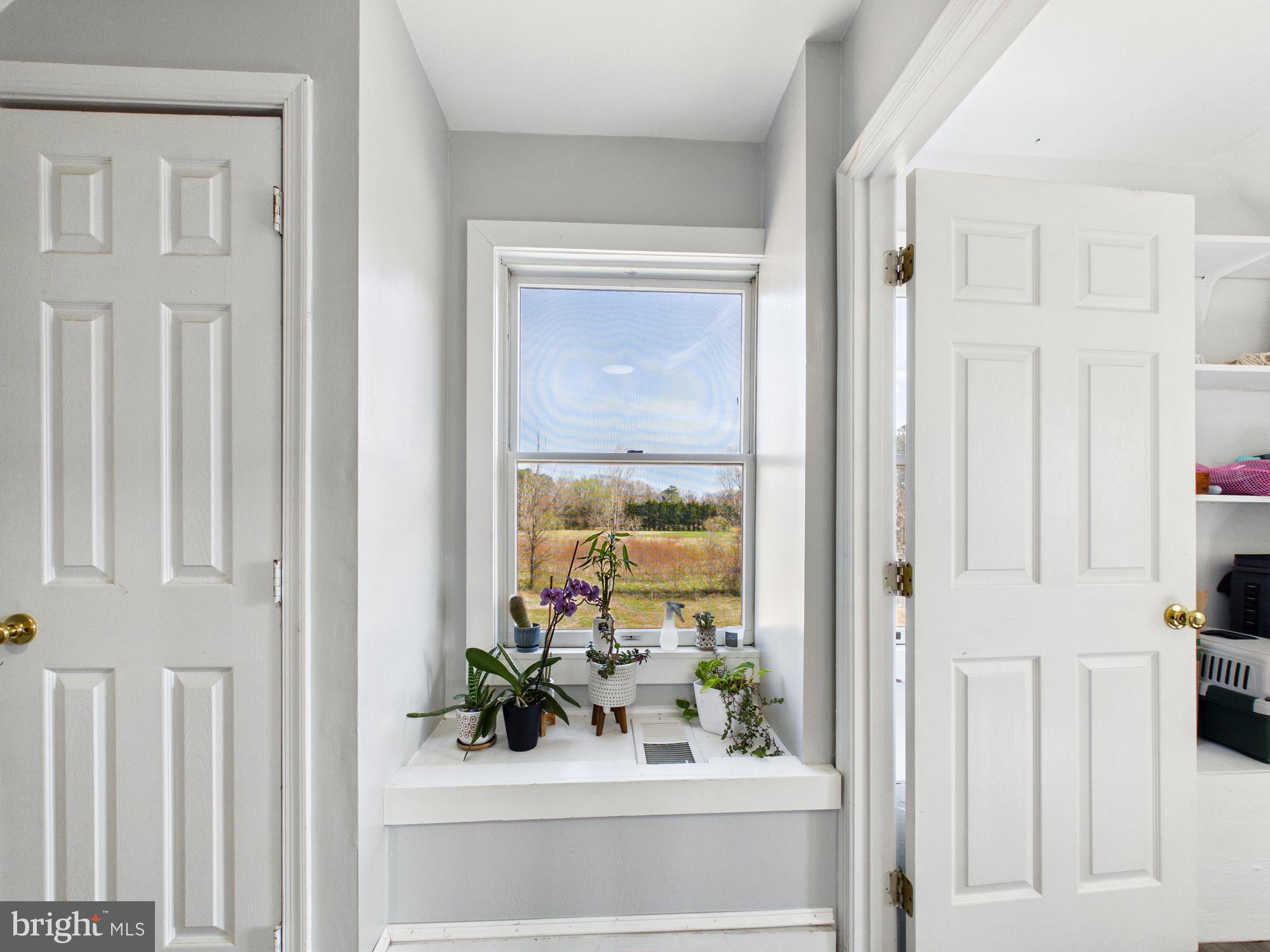 8416 Harmony Road Denton, MD 21629 - Photo 37 of 111 Best view on third floor, overlooking orchard