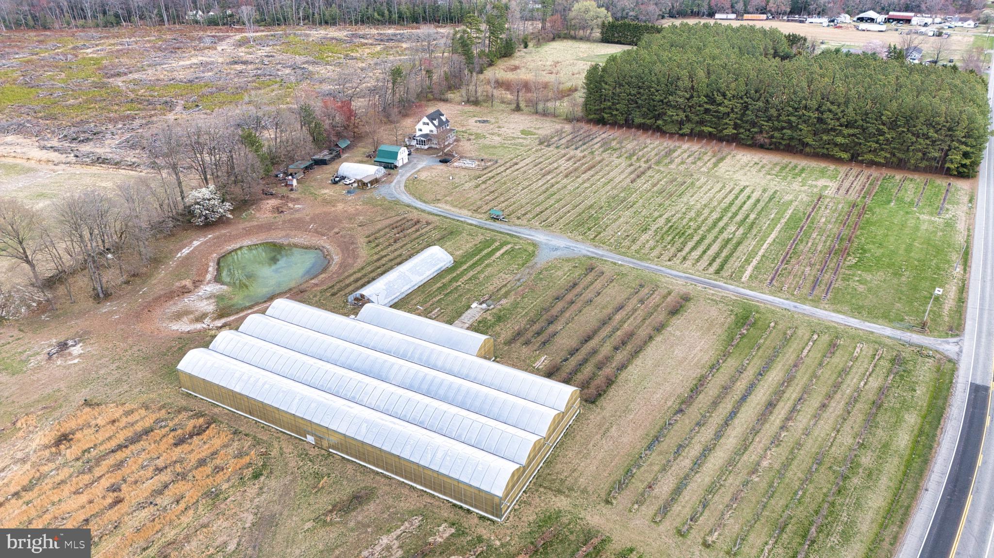 8416 Harmony Road Denton, MD 21629 - Photo 51 of 111 1/2 acre Green Houses
