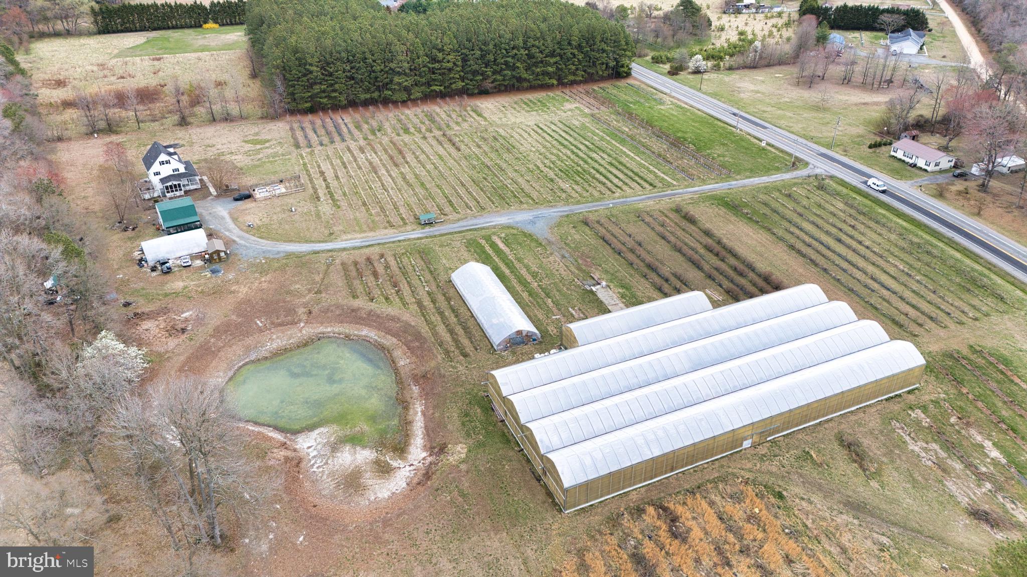 8416 Harmony Road Denton, MD 21629 - Photo 52 of 111 1/2 acre Green Houses with 2 wells