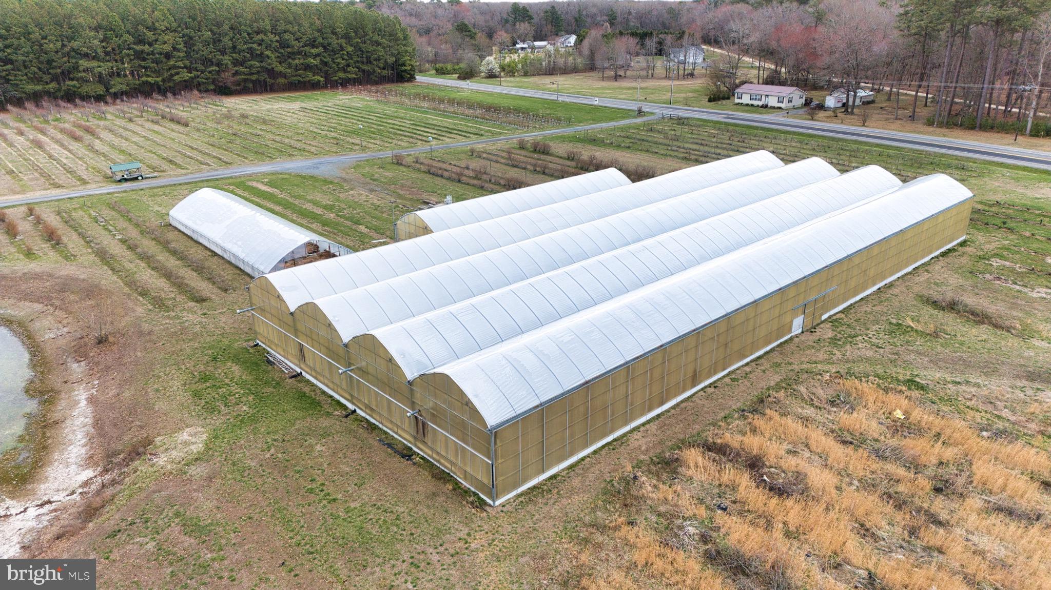 8416 Harmony Road Denton, MD 21629 - Photo 53 of 111 1/2 acre Green Houses, drip irrigation