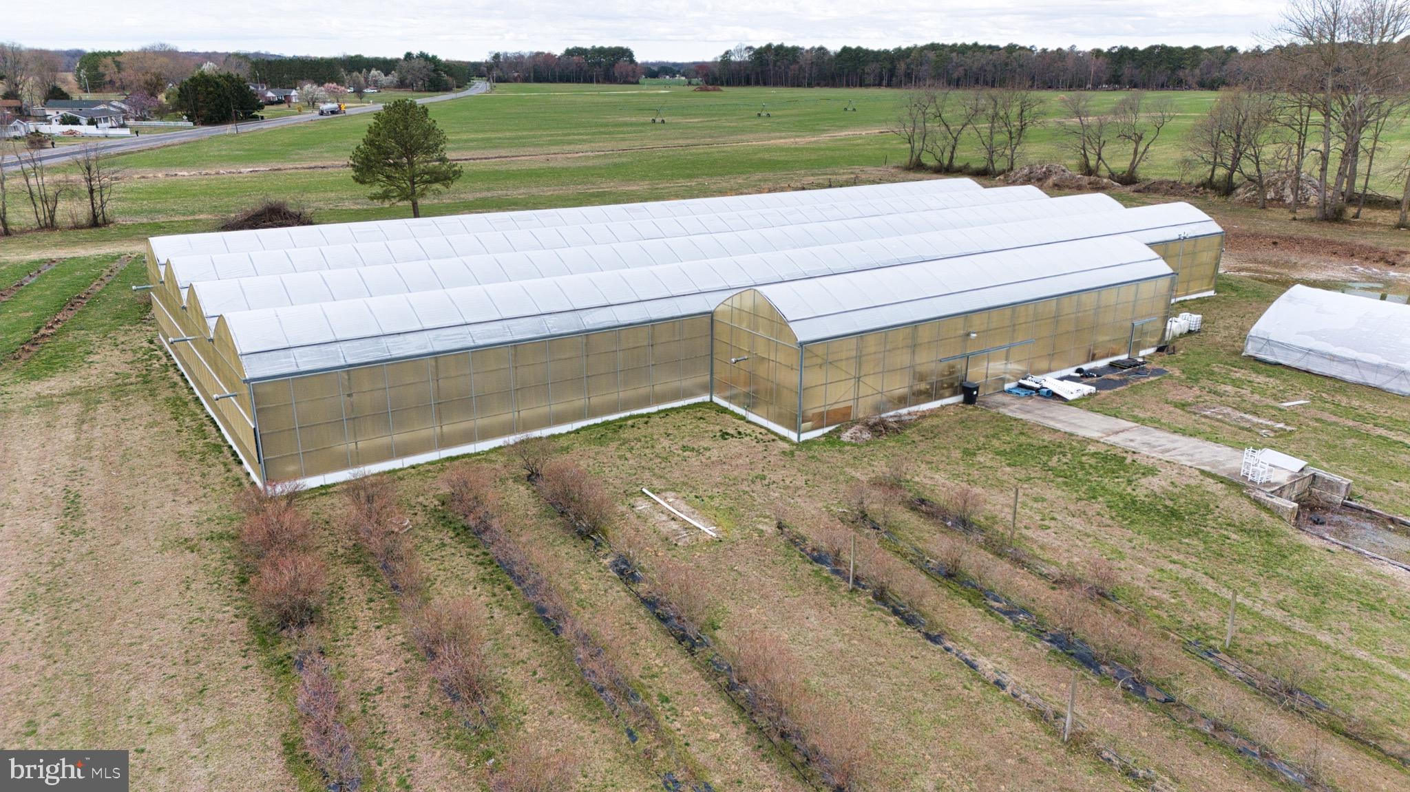 8416 Harmony Road Denton, MD 21629 - Photo 54 of 111 1/2 acre Green Houses, with heaters and fans