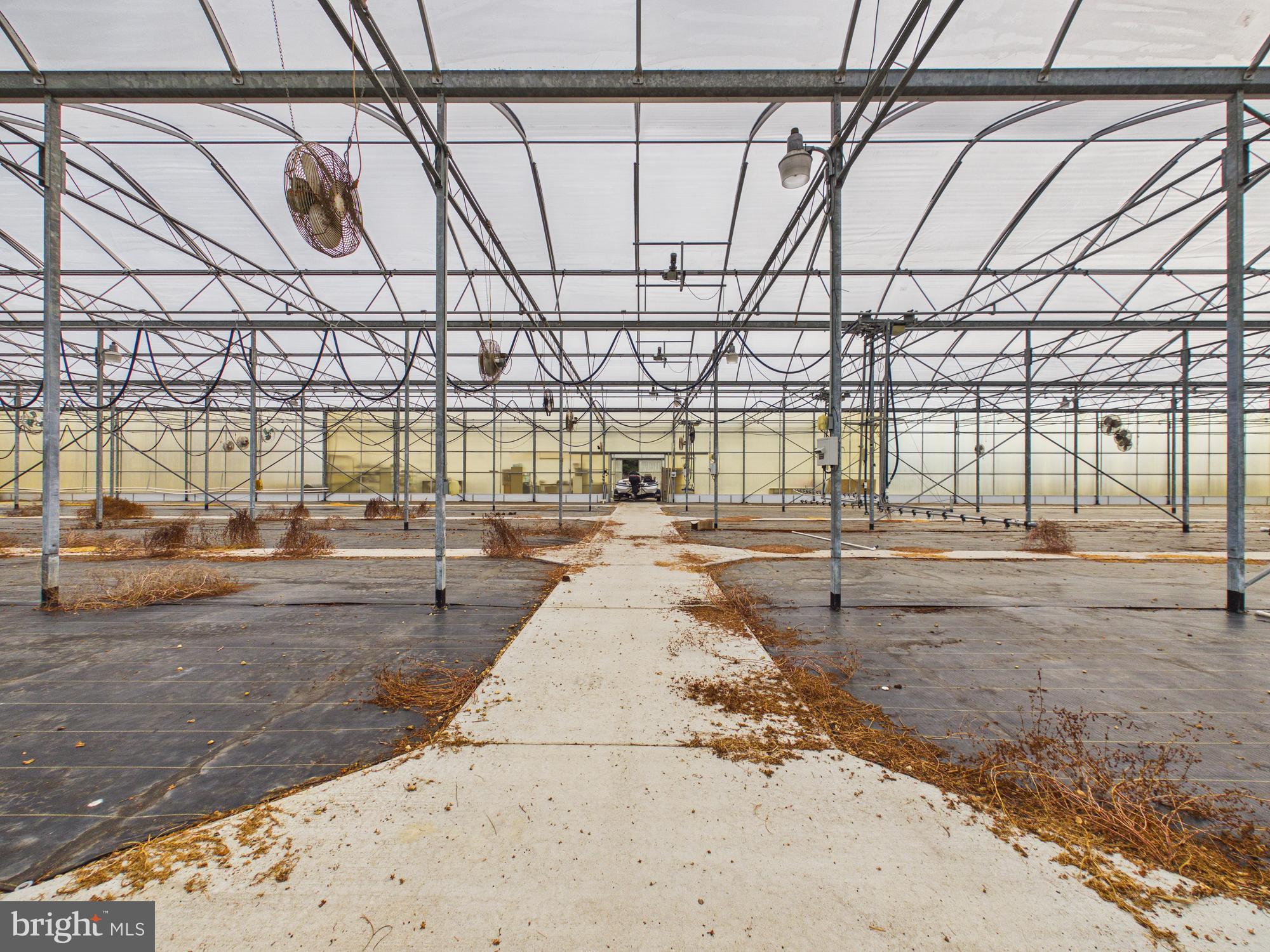 8416 Harmony Road Denton, MD 21629 - Photo 66 of 111 Green House- heating, well. plumbing and electric