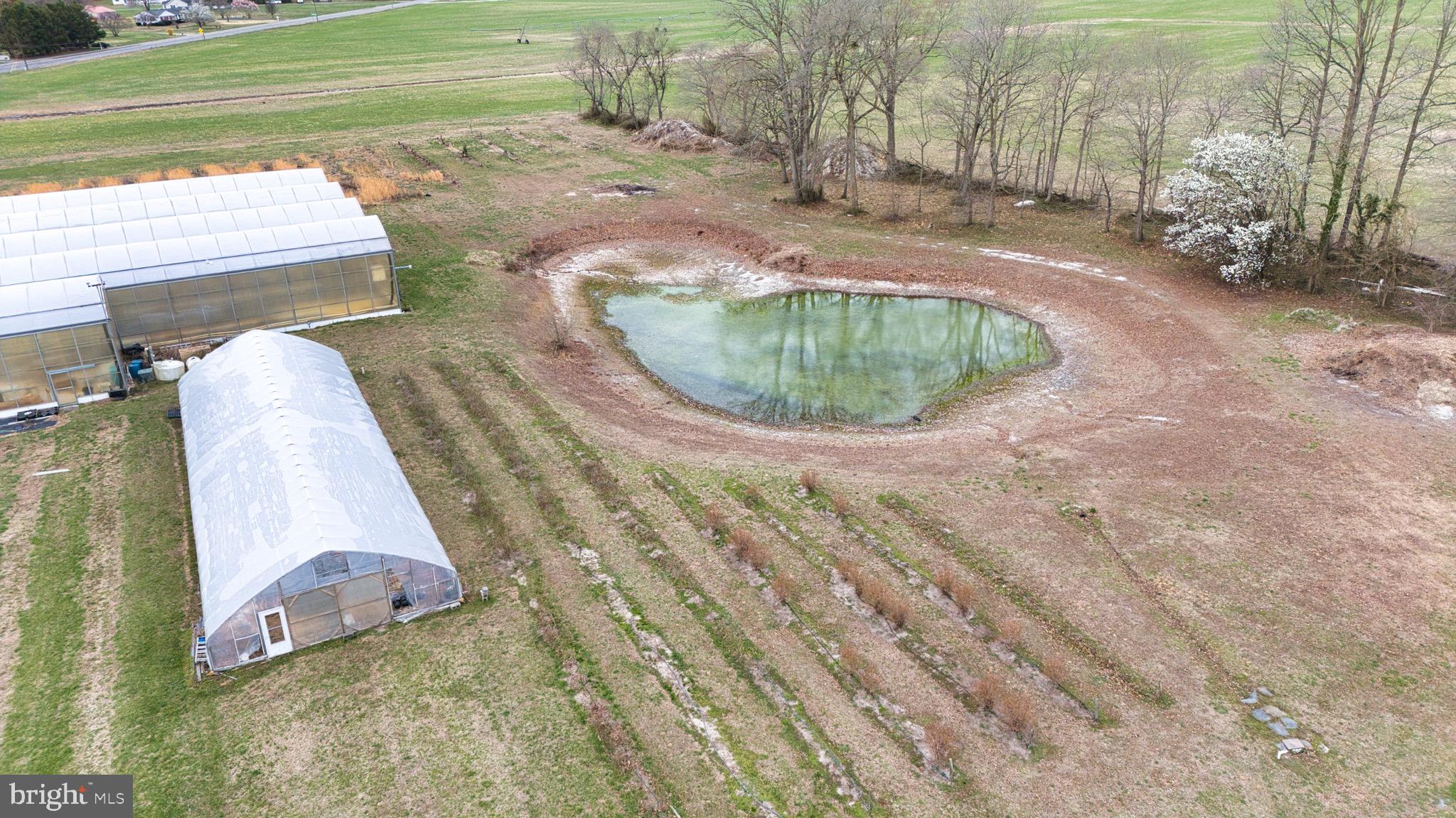 8416 Harmony Road Denton, MD 21629 - Photo 73 of 111 Private Pond