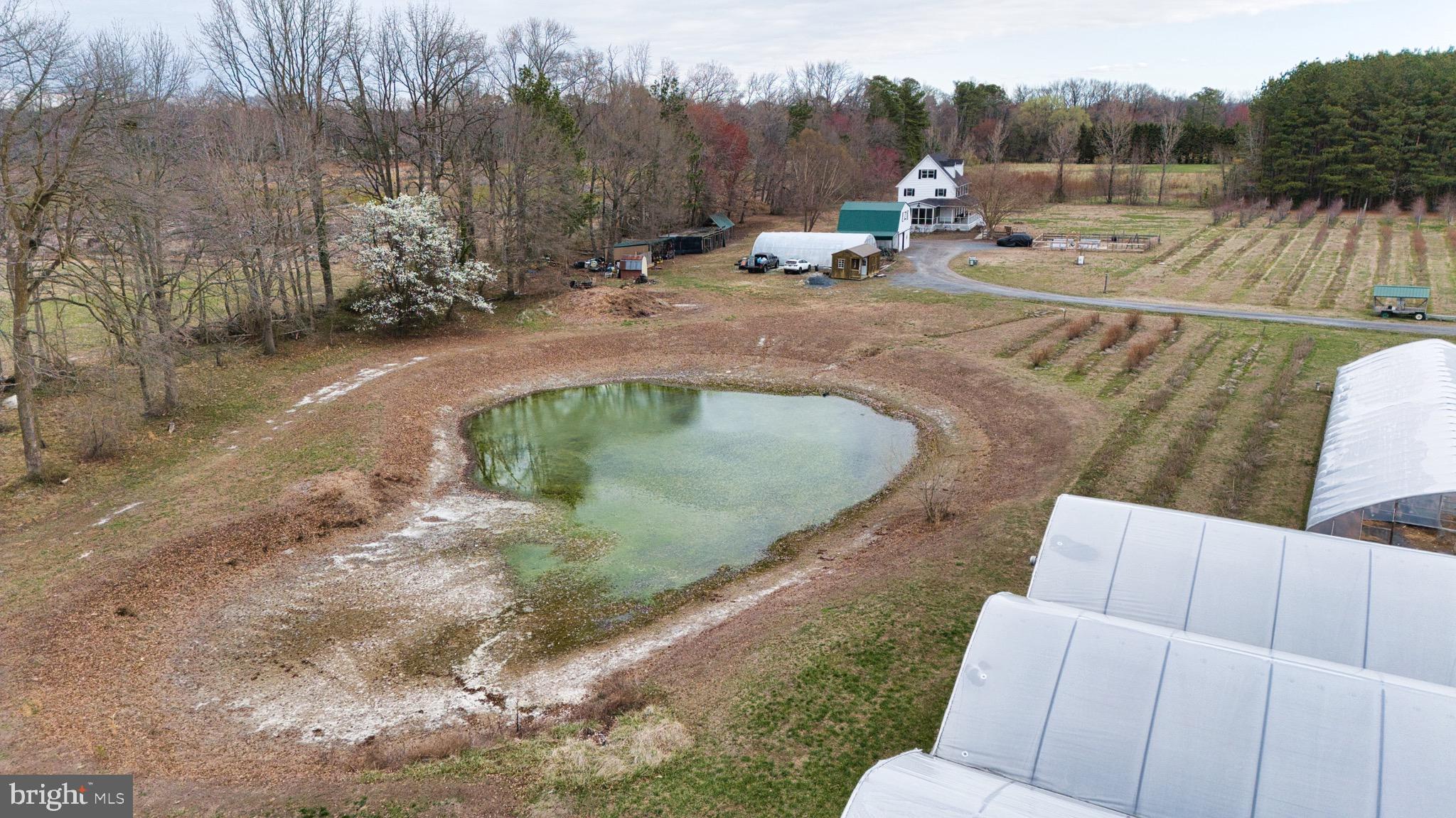 8416 Harmony Road Denton, MD 21629 - Photo 74 of 111 Private Pond