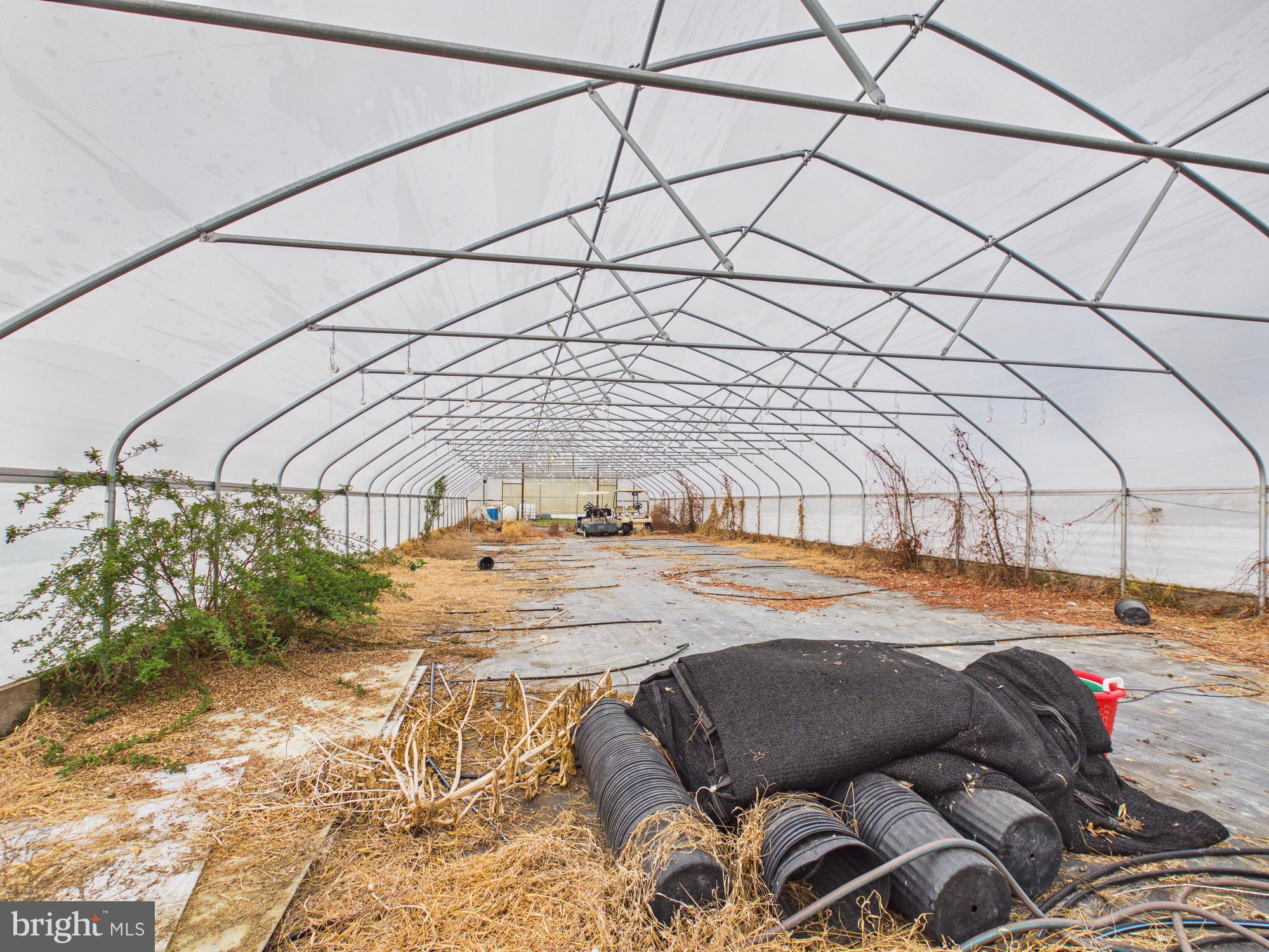 8416 Harmony Road Denton, MD 21629 - Photo 76 of 111 Front Green House