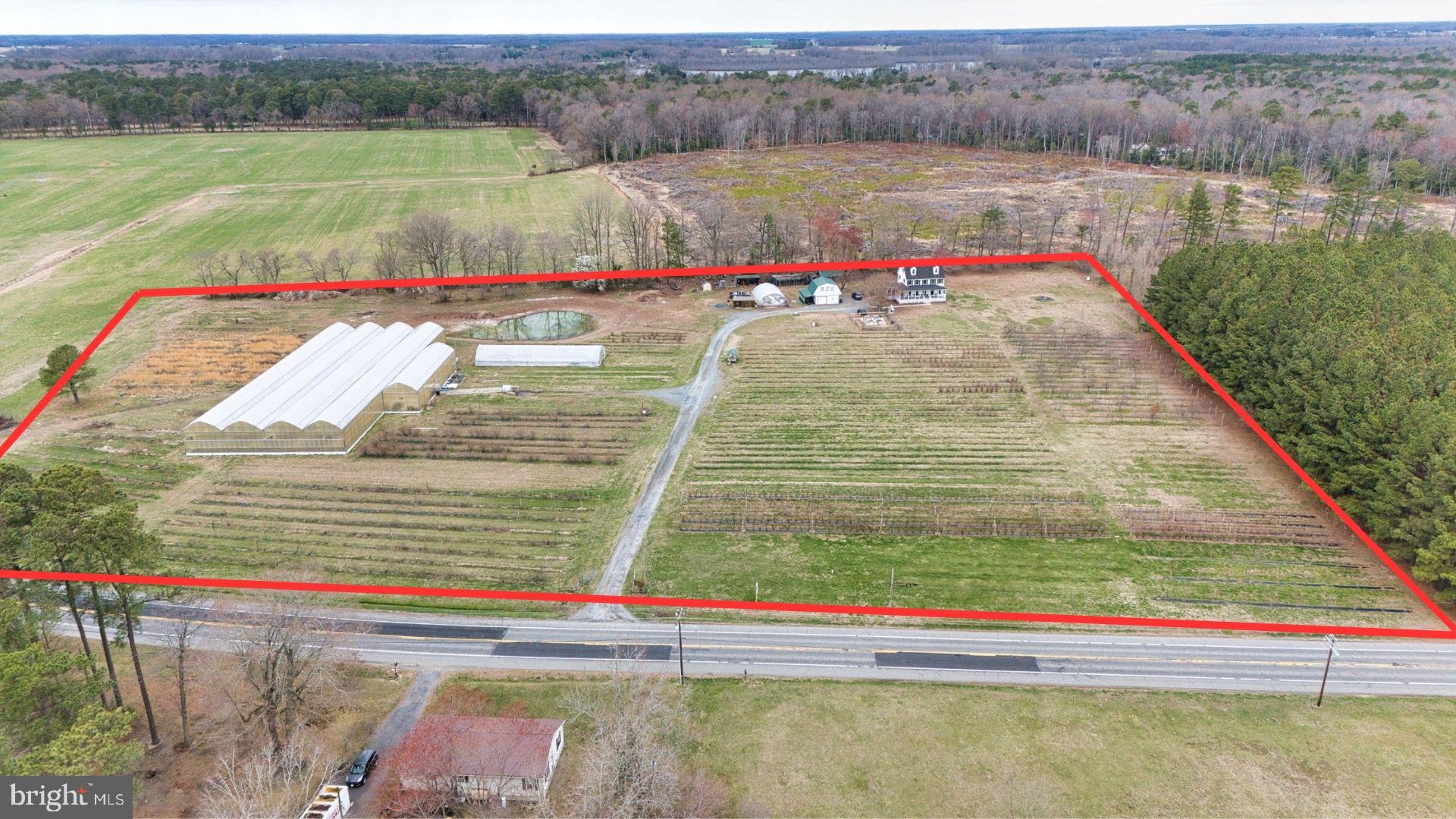 8416 Harmony Road Denton, MD 21629 - Photo 8 of 111 Two parcels- 6.1 acres and 6.7 acres total of 12.7