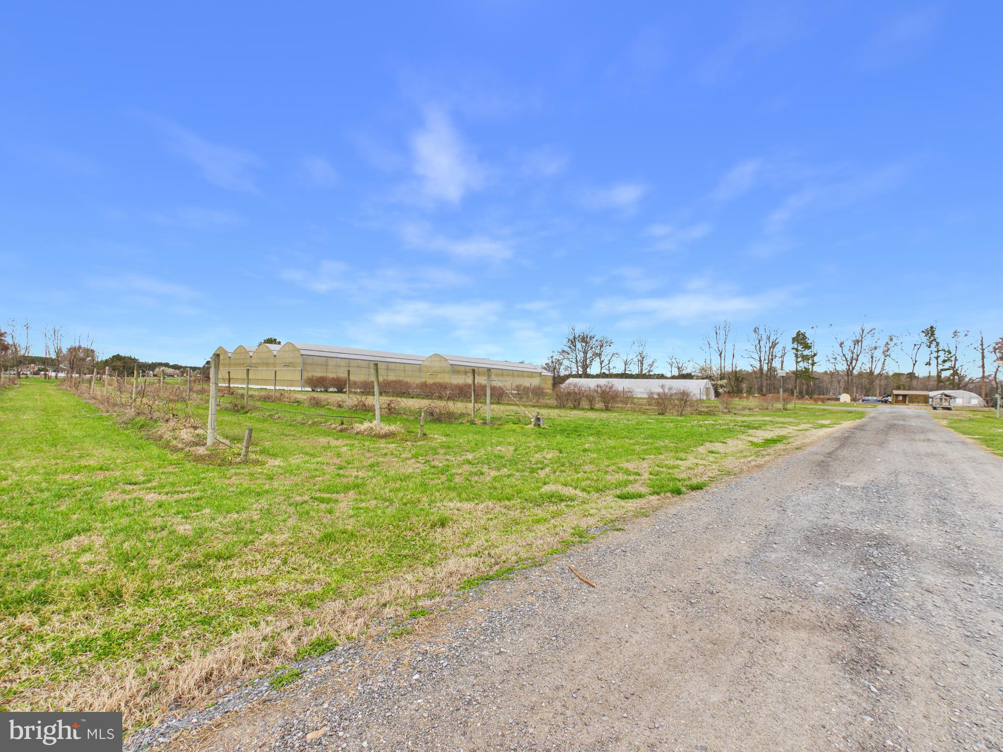 8416 Harmony Road Denton, MD 21629 - Photo 83 of 111 Orchards ready for fruit