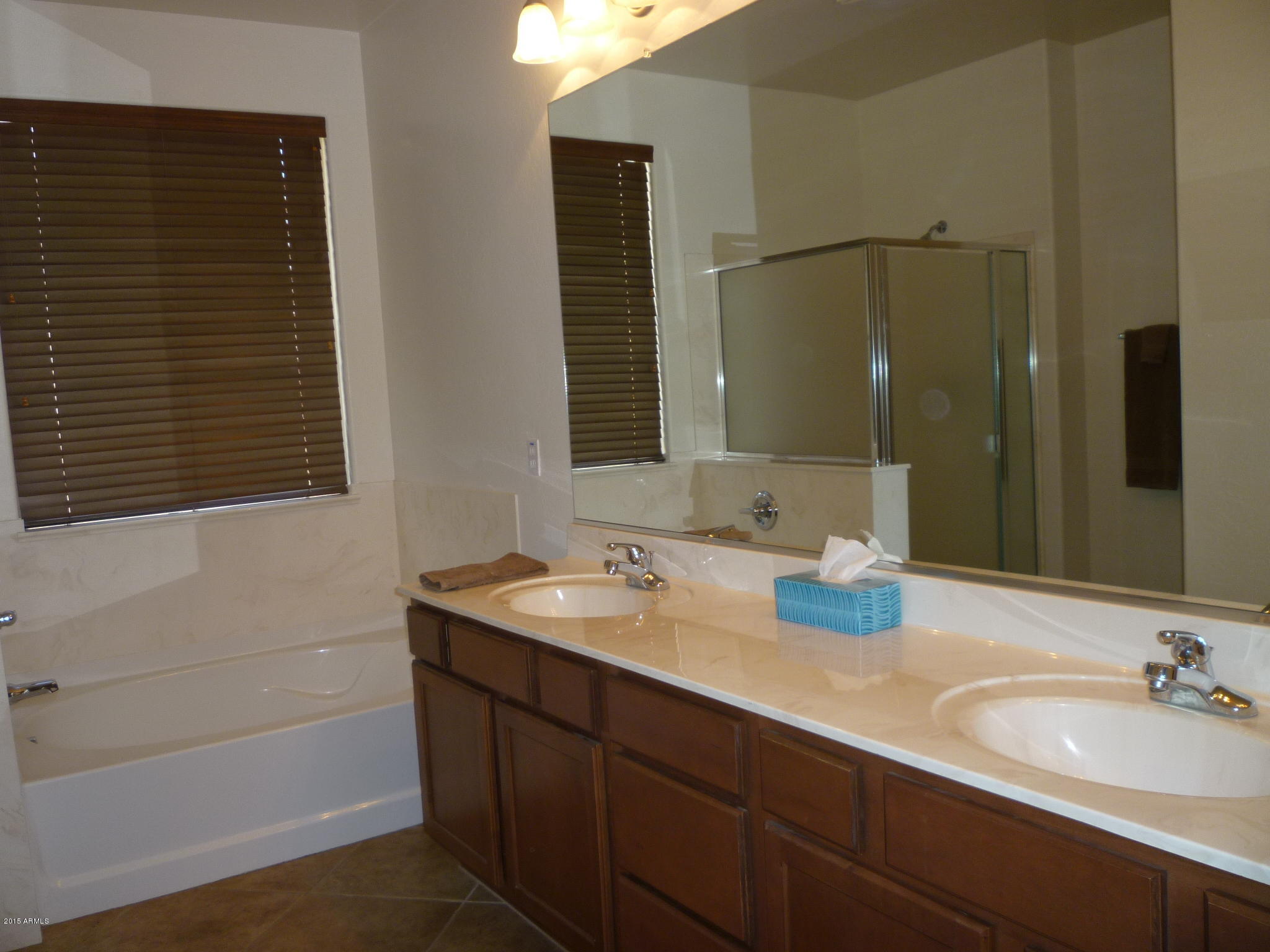 15476 West Redfield Road Surprise, AZ 85379 - Photo 44 of 75 MASTER BATHROOM