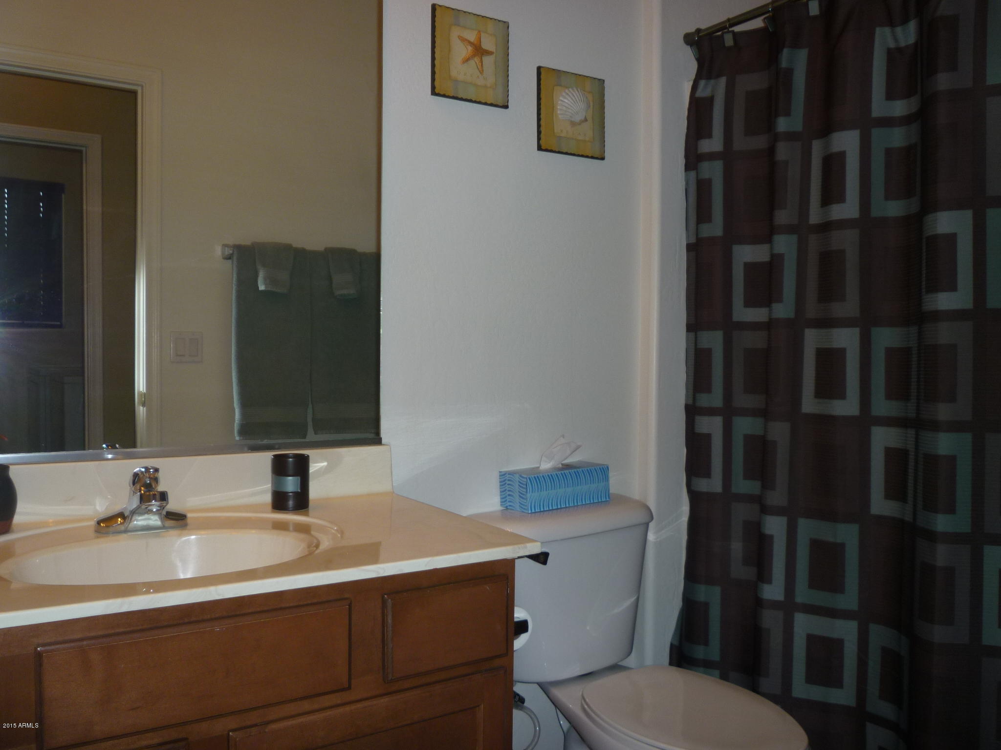 15476 West Redfield Road Surprise, AZ 85379 - Photo 54 of 75 HALL BATHROOM