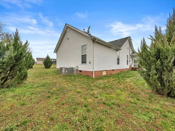 a view of a backyard with plants and large tree