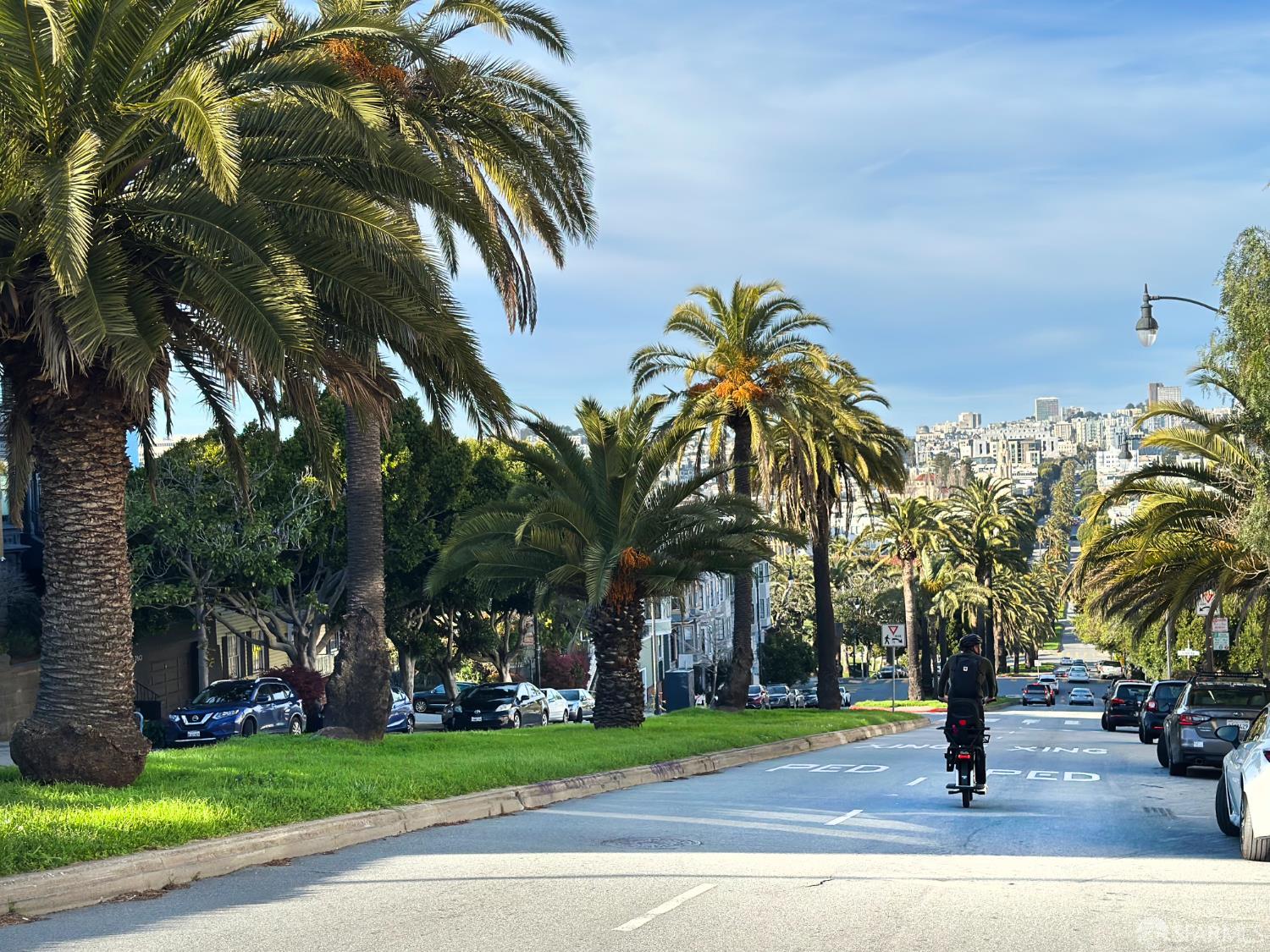 639 14th Street San Francisco, CA 94114 - Photo 54 of 54 a sign board with palm trees