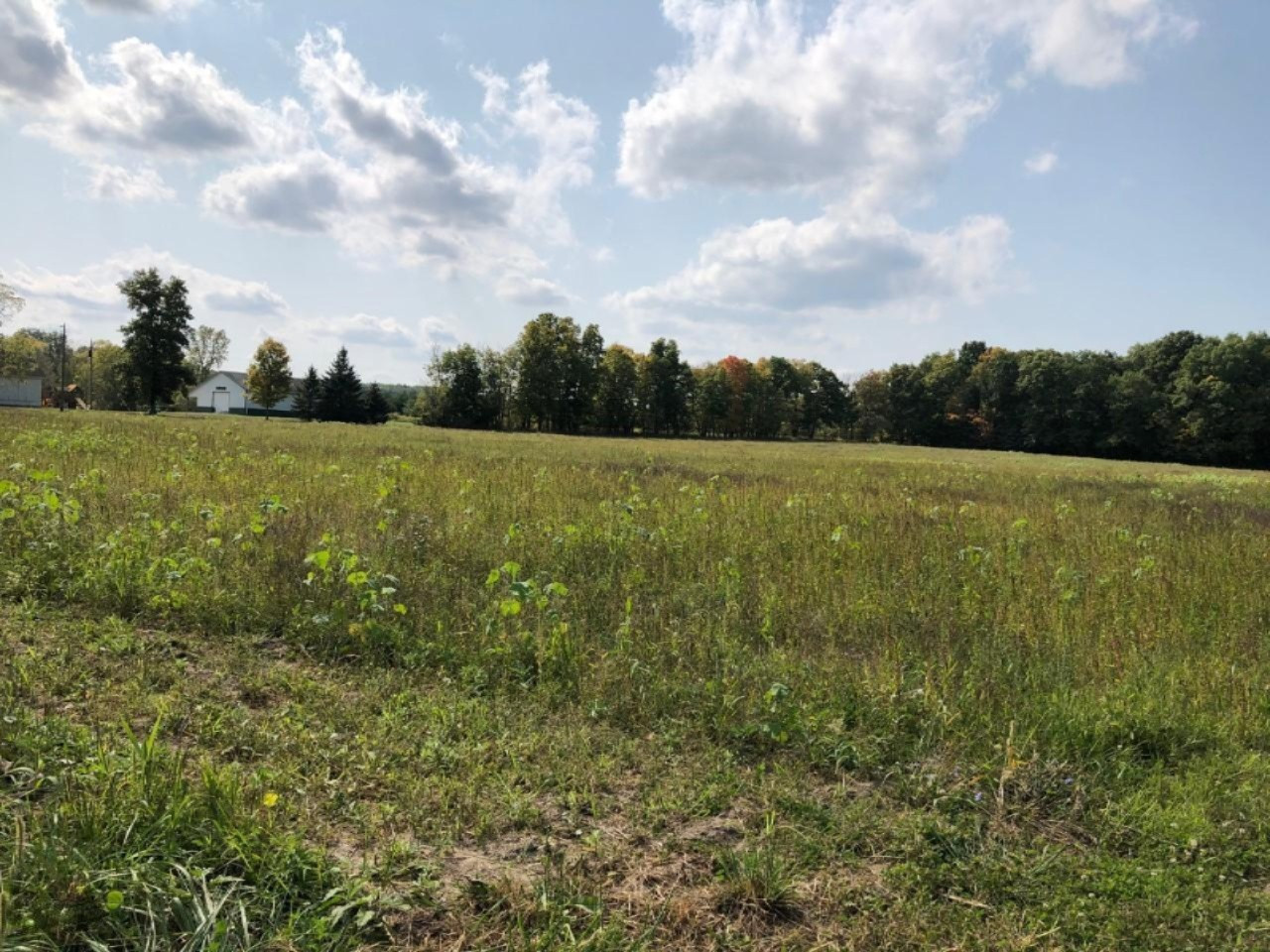 9000 Maudlin Road, Unit C New Buffalo, MI 49117 - Photo 8 of 8 7