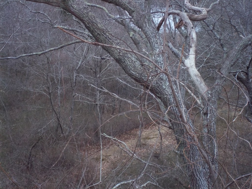 52 Lookout Point Road Plymouth, MA 02360 - Photo 12 of 22 Gallery Image 12