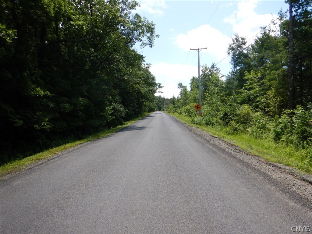 Bull Hill Road Newfield, NY 14867 - Photo 12 of 36