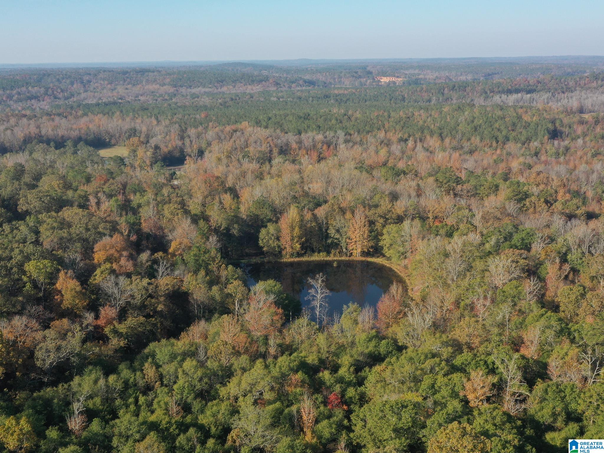 13108 Rocky Ridge Road Fosters, AL 35463 - Photo 35 of 39