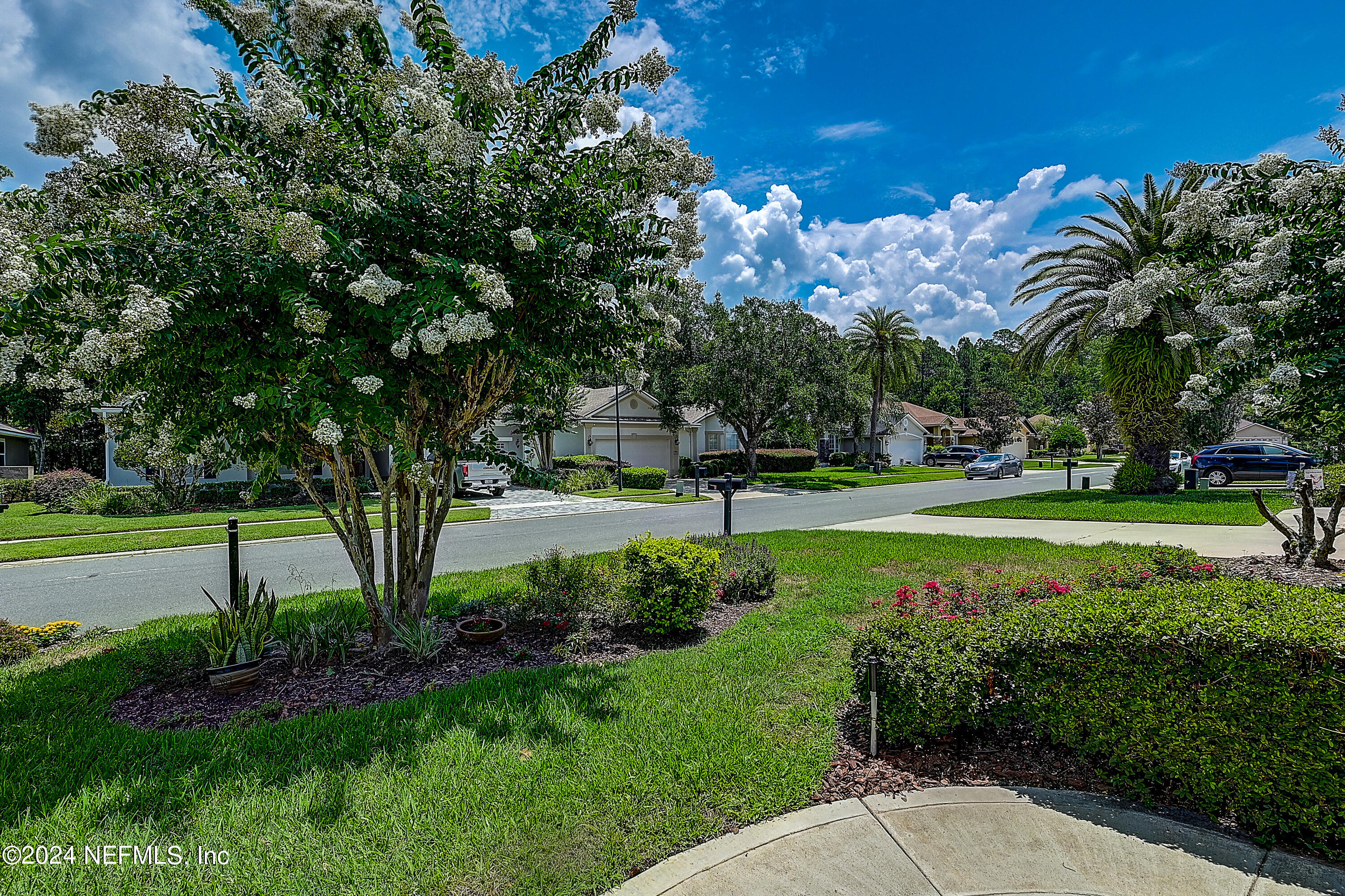 293 Edge Of Woods Road St. Augustine, FL 32092 - Photo 35 of 51 front yard