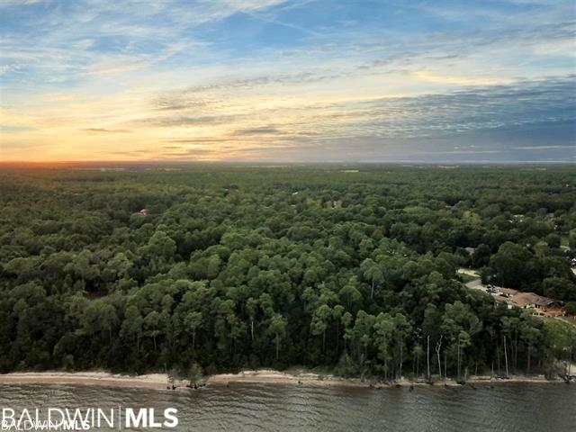 10346 County Road 99 Lillian, AL 36549 - Photo 10 of 11