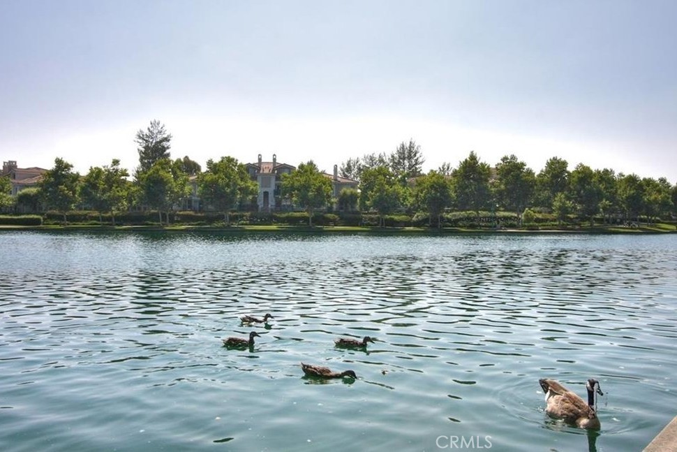 20891 Porter Ranch Road Rancho Santa Margarita, CA 92679 - Photo 43 of 63 Gallery Image 43