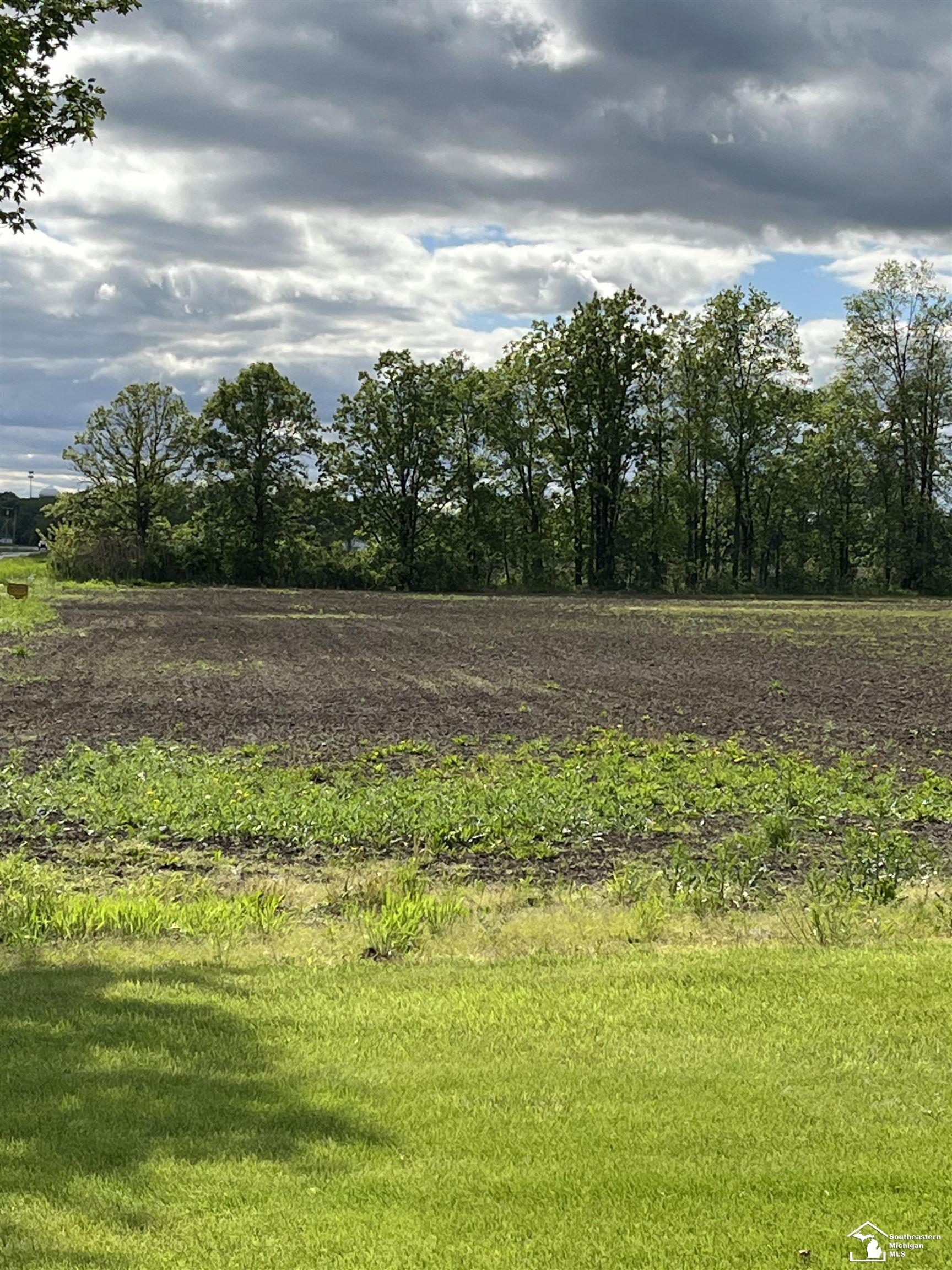 Post Road Newport, MI 48166 - Photo 4 of 6
