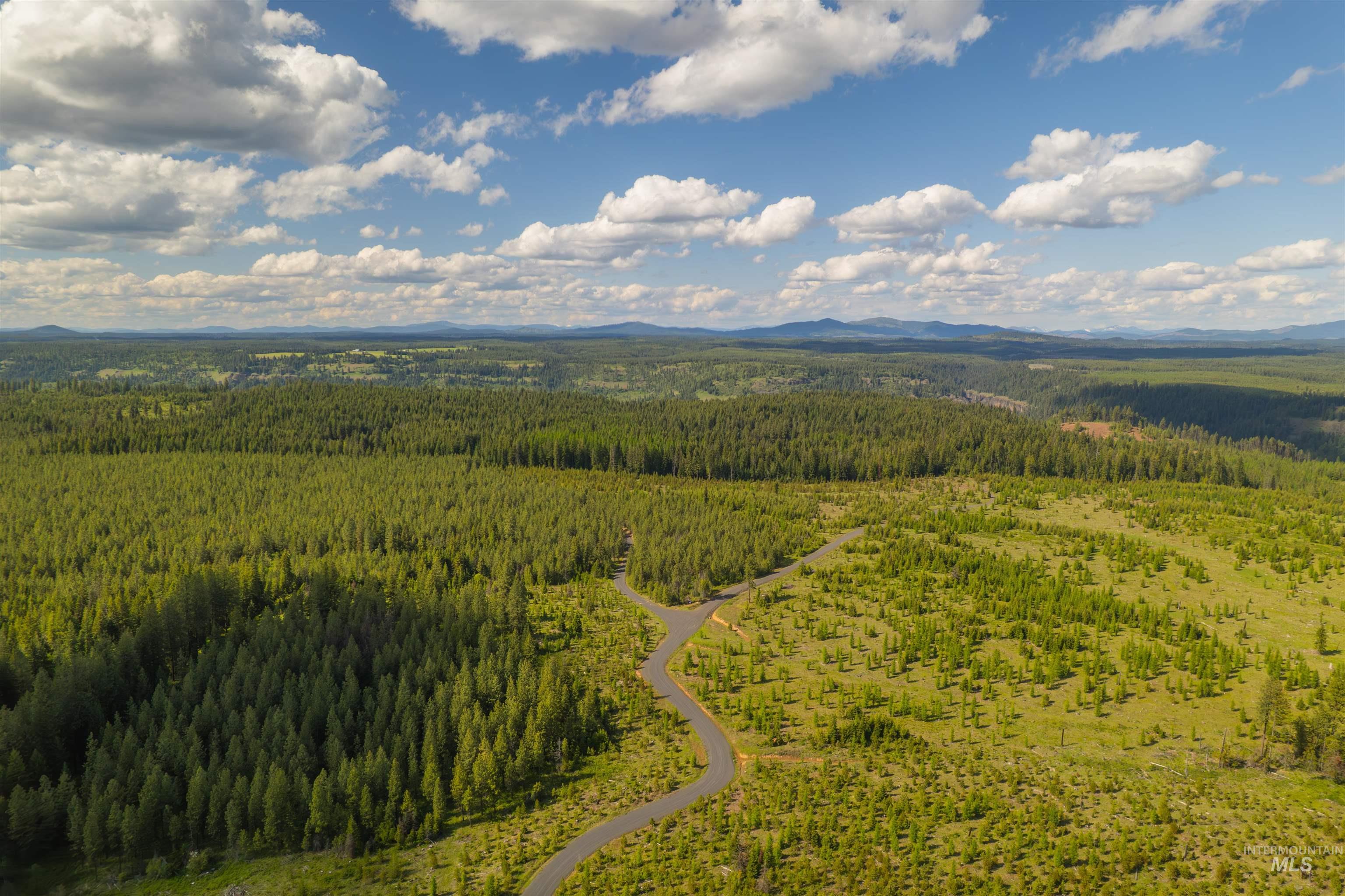 0 Timberline Heights Weippe, ID 83553 - Photo 15 of 17