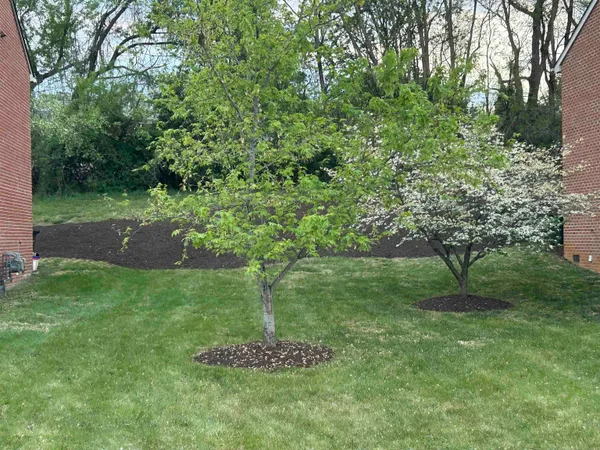 a big yard with lots of green space and trees