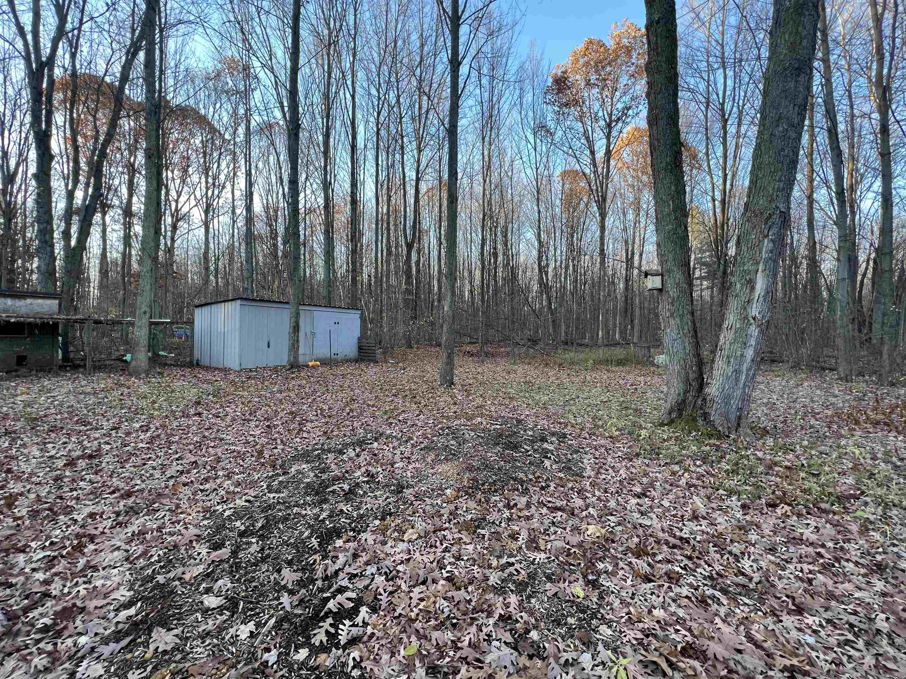 7761 East Baseline Road Mount Pleasant, MI 48858 - Photo 13 of 14