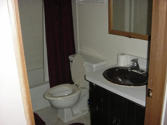 429 Marstonmoor Road Davis, IL 61019 - Photo 5 of 9 a bathroom with a sink a toilet and a mirror