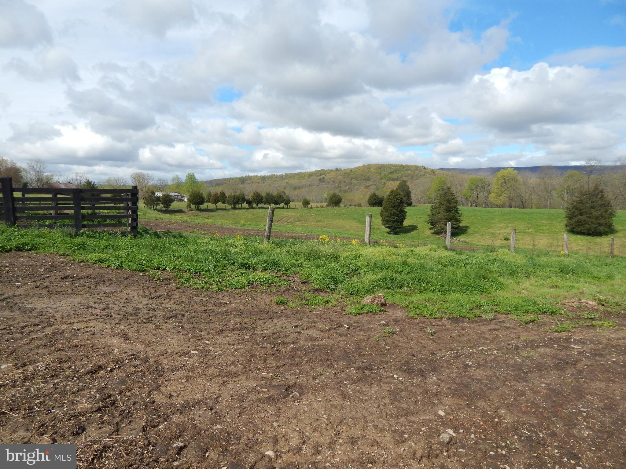3 Shadow Valley Farm Berkeley Springs, WV 25411 - Photo 17 of 29 Leading to Pasture