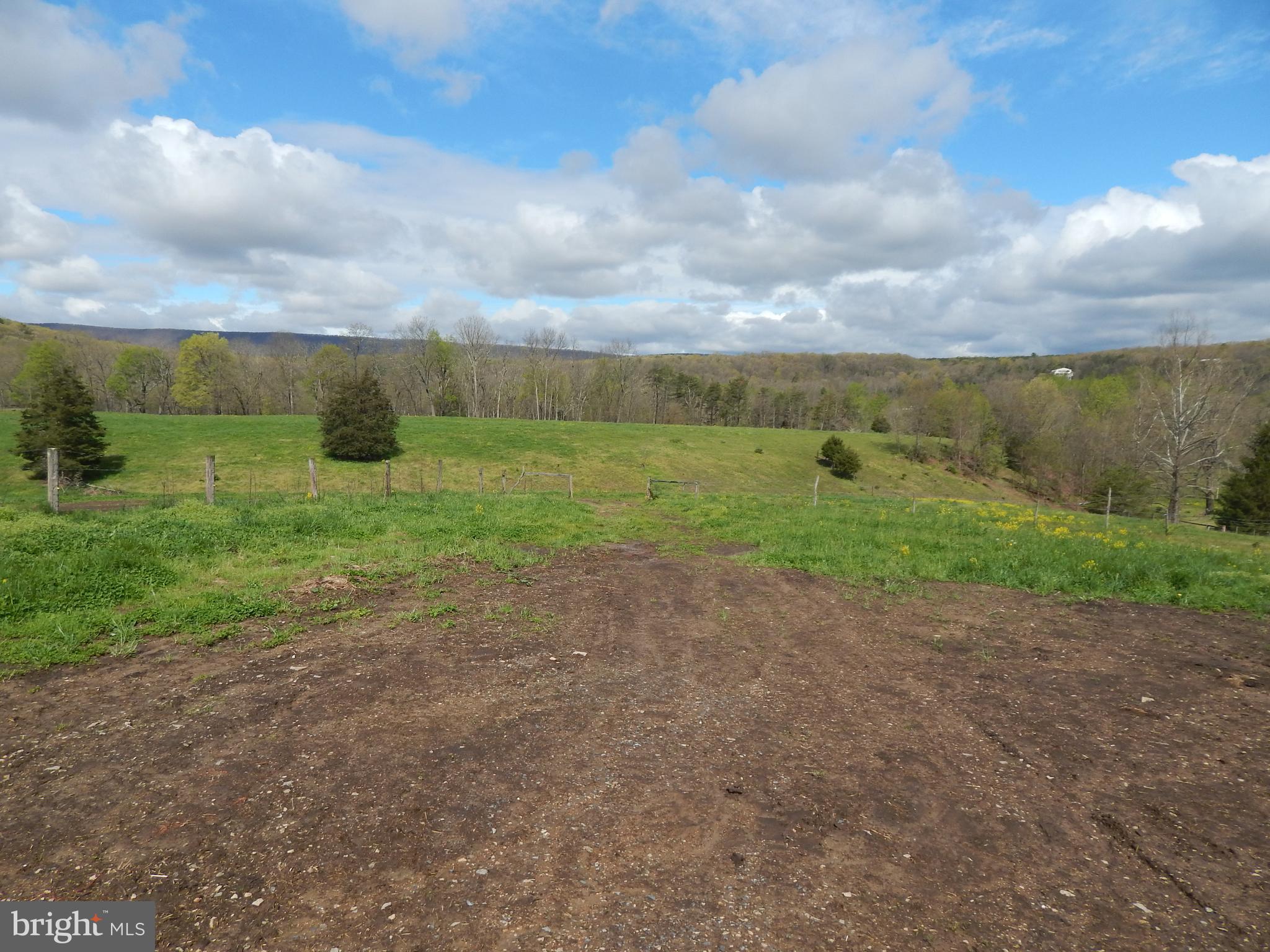 3 Shadow Valley Farm Berkeley Springs, WV 25411 - Photo 18 of 29 Pasture