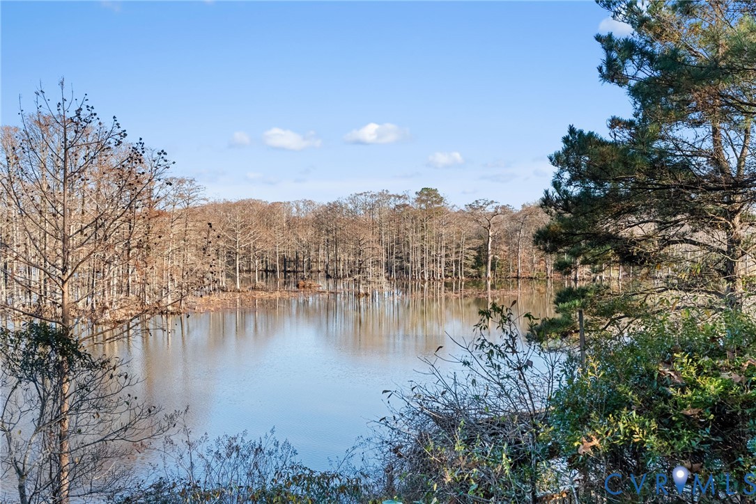 701 Colony Trail Lanexa, VA 23089 - Photo 20 of 50 a view of a lake in between two of trees