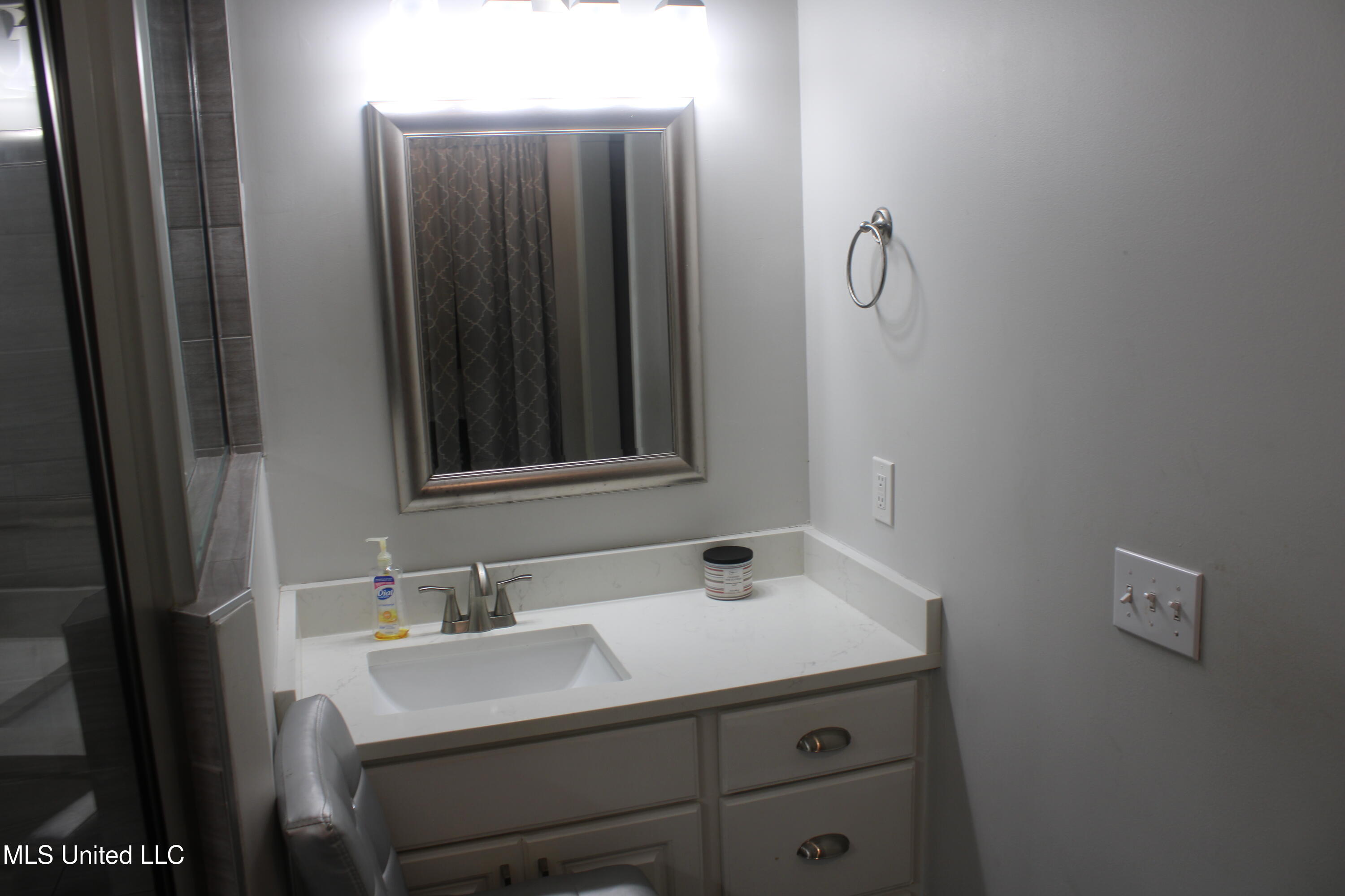 100 Navajo Circle Clinton, MS 39056 - Photo 19 of 53 Primary Bathroom - Vanity 1