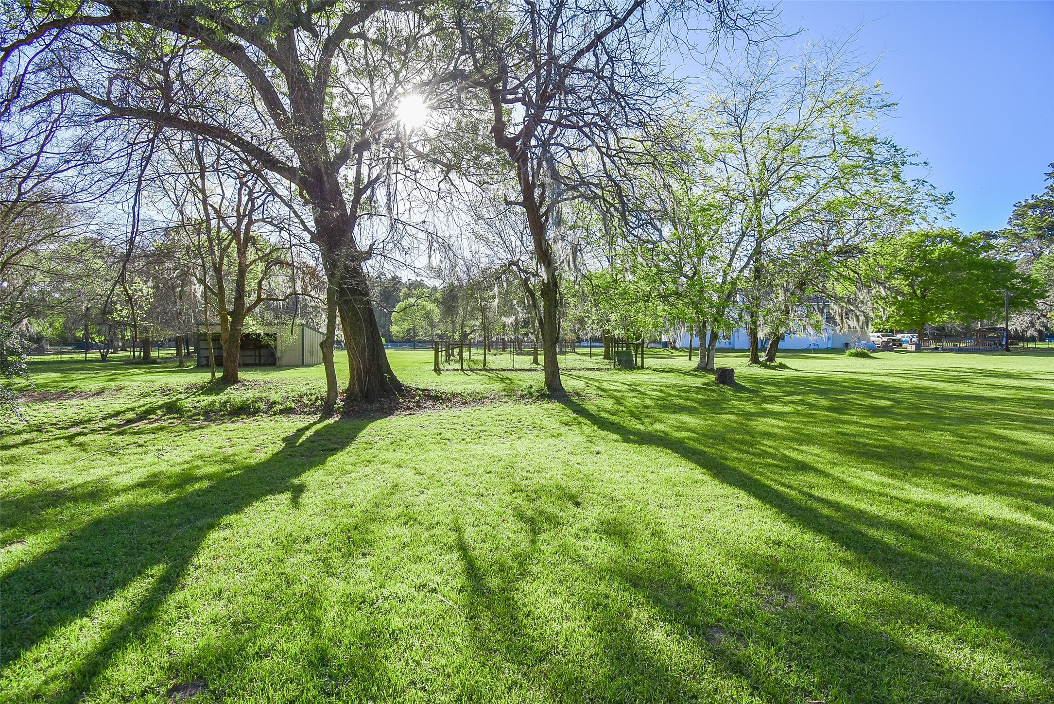 24640 Macedonia Road Hockley, TX 77447 - Photo 38 of 46