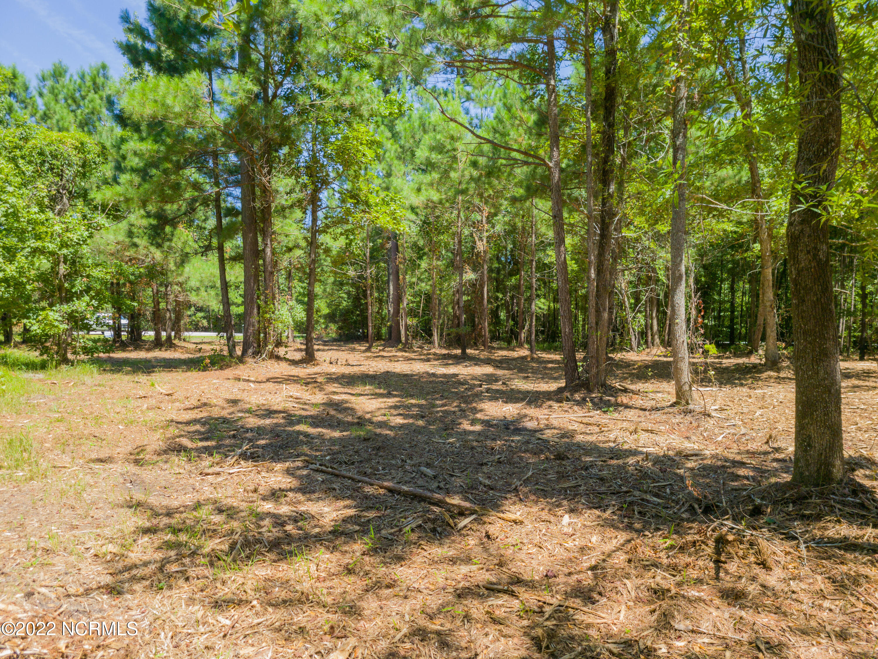 444 Tarpon Pointe Road Bath, NC 27808 - Photo 16 of 19 20220818_125153a