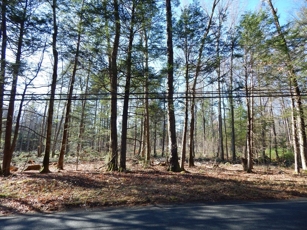 Lot 2 Fomer Road Southampton, MA 01073 - Photo 1 of 5 Gallery Image 1