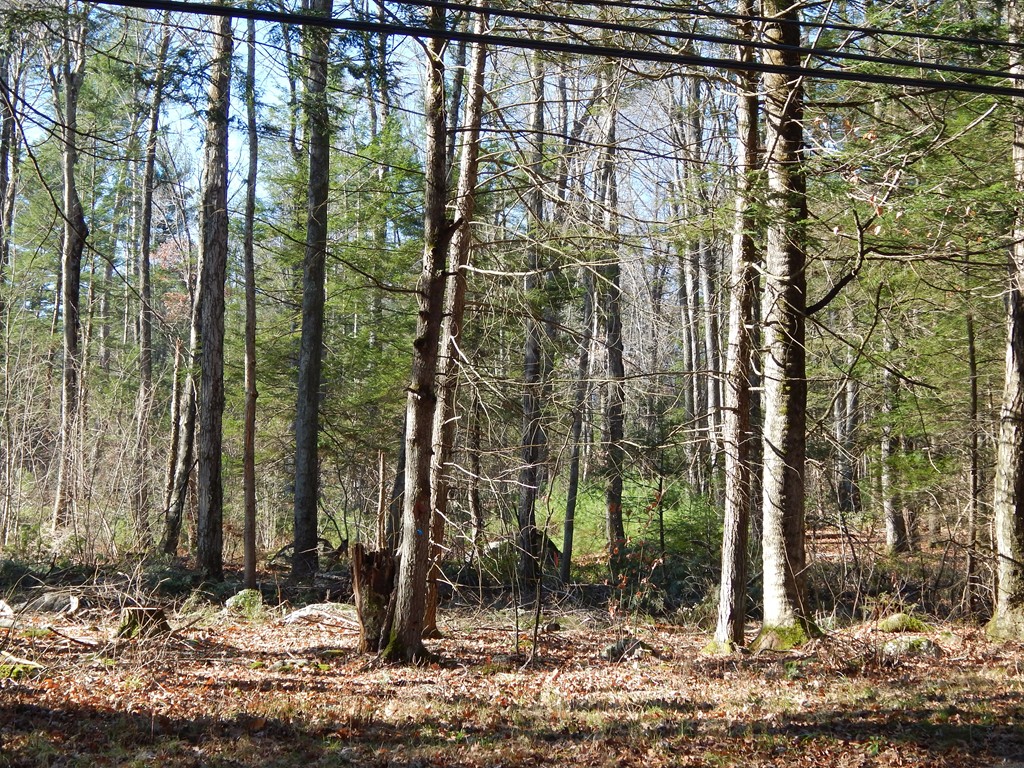 Lot 2 Fomer Road Southampton, MA 01073 - Photo 3 of 5 Gallery Image 3