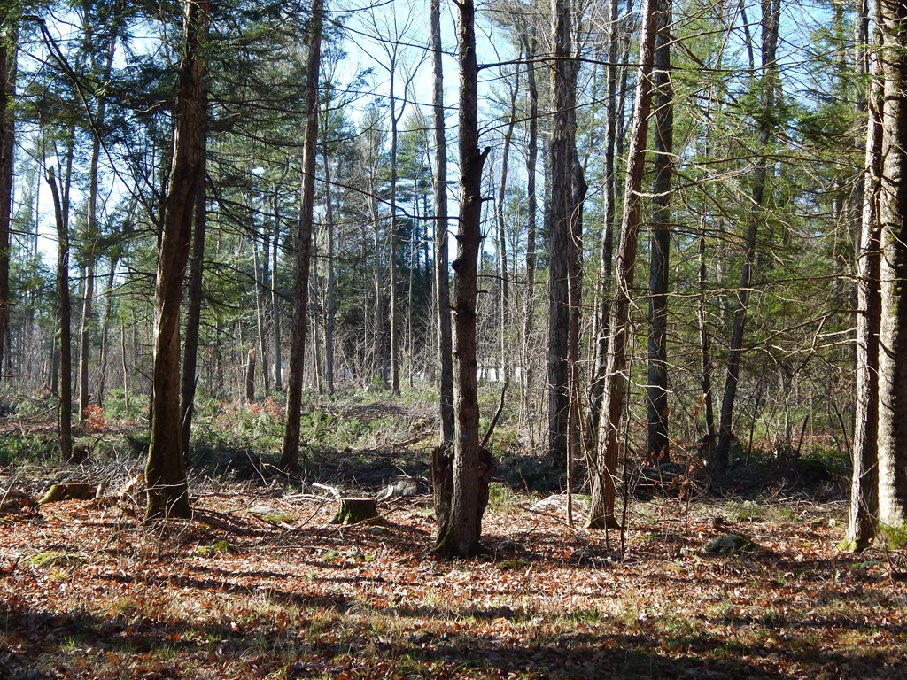 Lot 2 Fomer Road Southampton, MA 01073 - Photo 5 of 5 Gallery Image 5