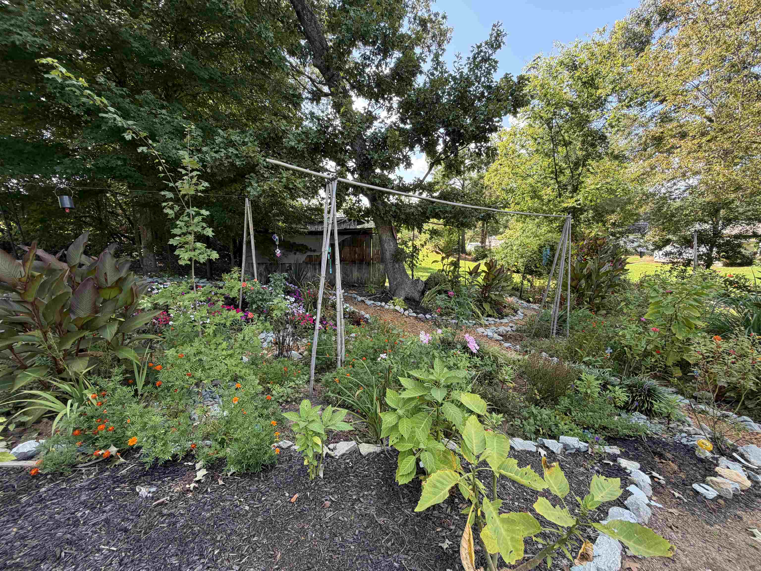 4190 Henderson Road Sardis, TN 38371 - Photo 31 of 40 Gallery Image 31