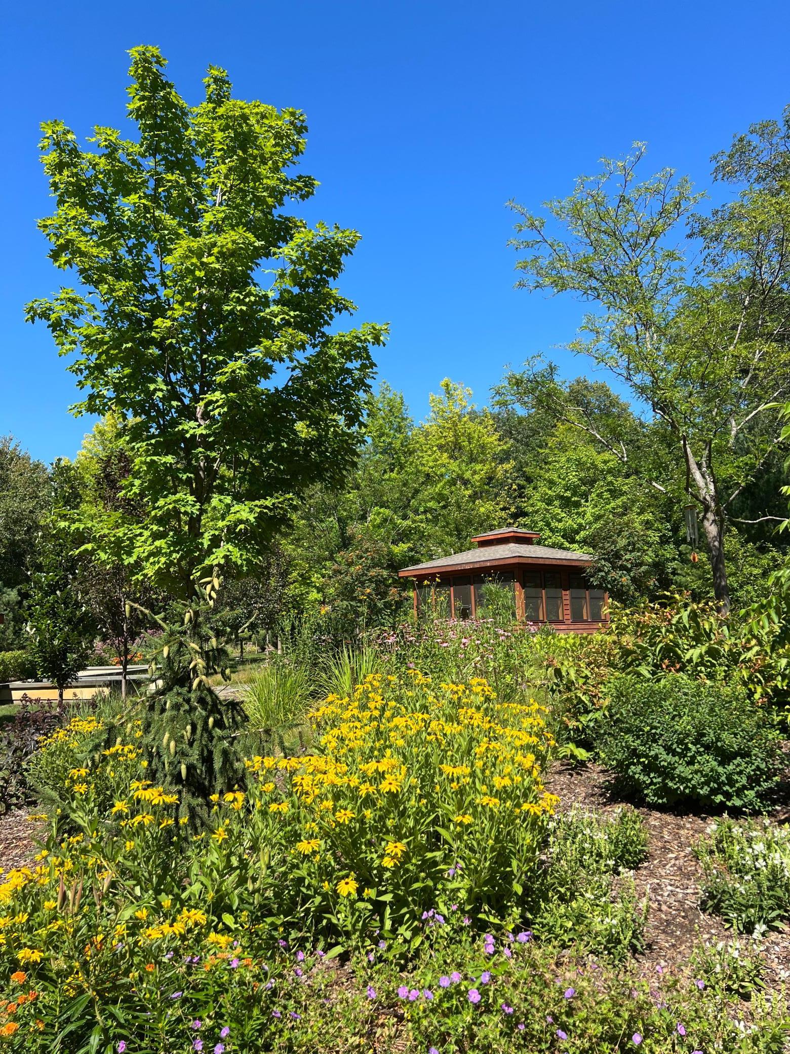 20545 Linden Road Deephaven, MN 55331 - Photo 80 of 102