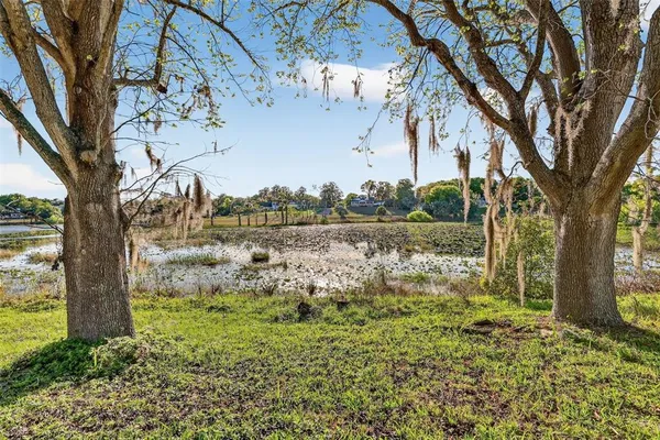 a view of a backyard with garden
